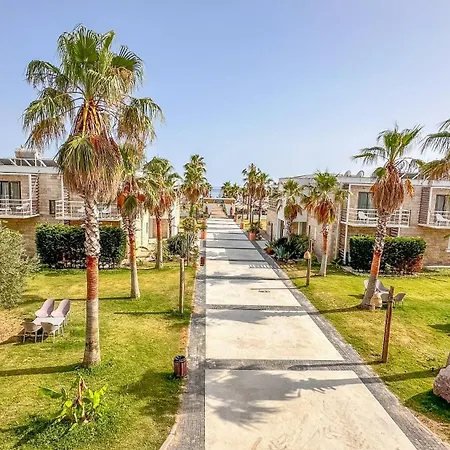 Sea Ayvalı